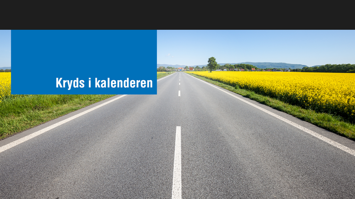 asfaltdag 2020