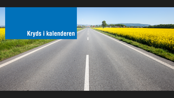 asfaltdag 2020