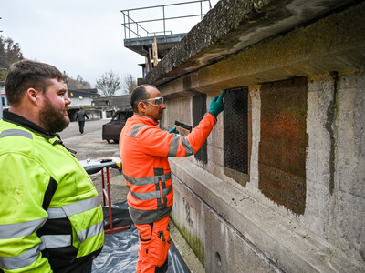 De lærte, hvordan man bruger S&P C-Anchor som forskydningsarmering.